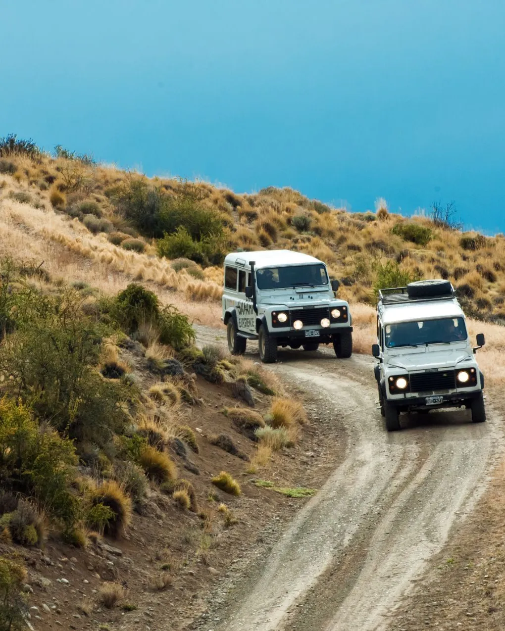 Safari Experience