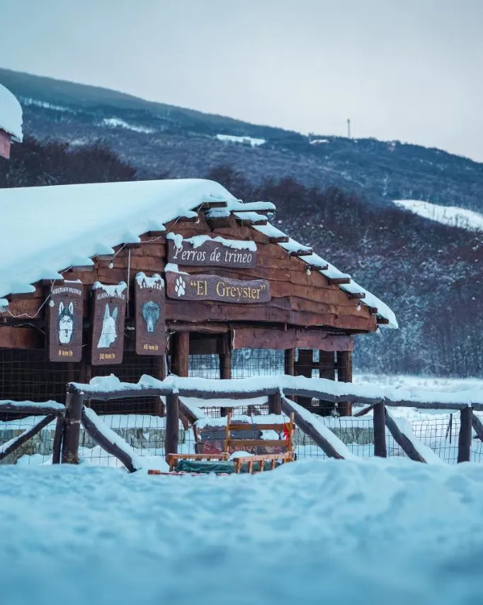 Full Day Nieve