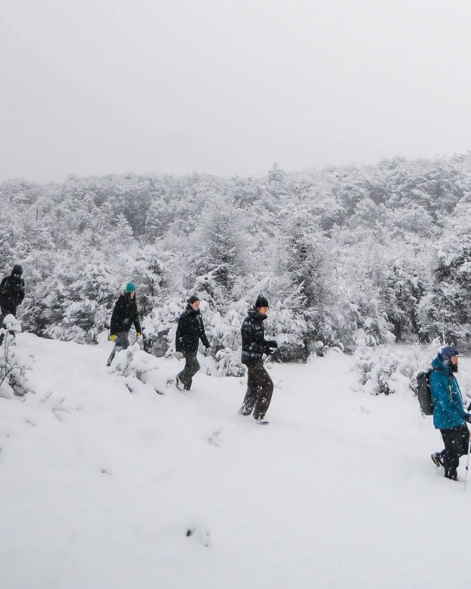 Parque Nacional con Almuerzo · Tour Privado · Invierno