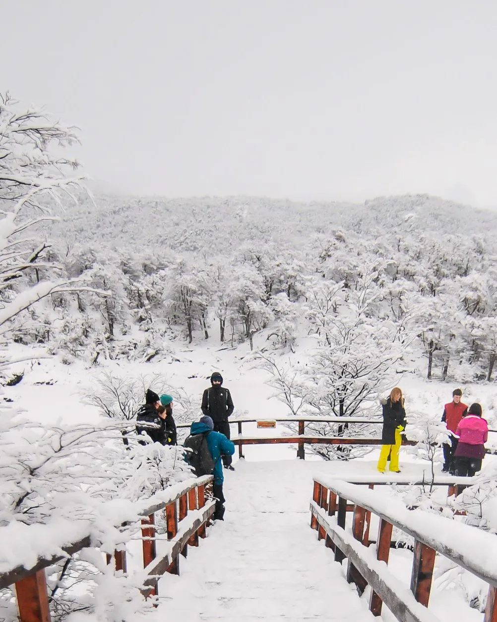 Parque Nacional con Almuerzo · Tour Privado · Invierno