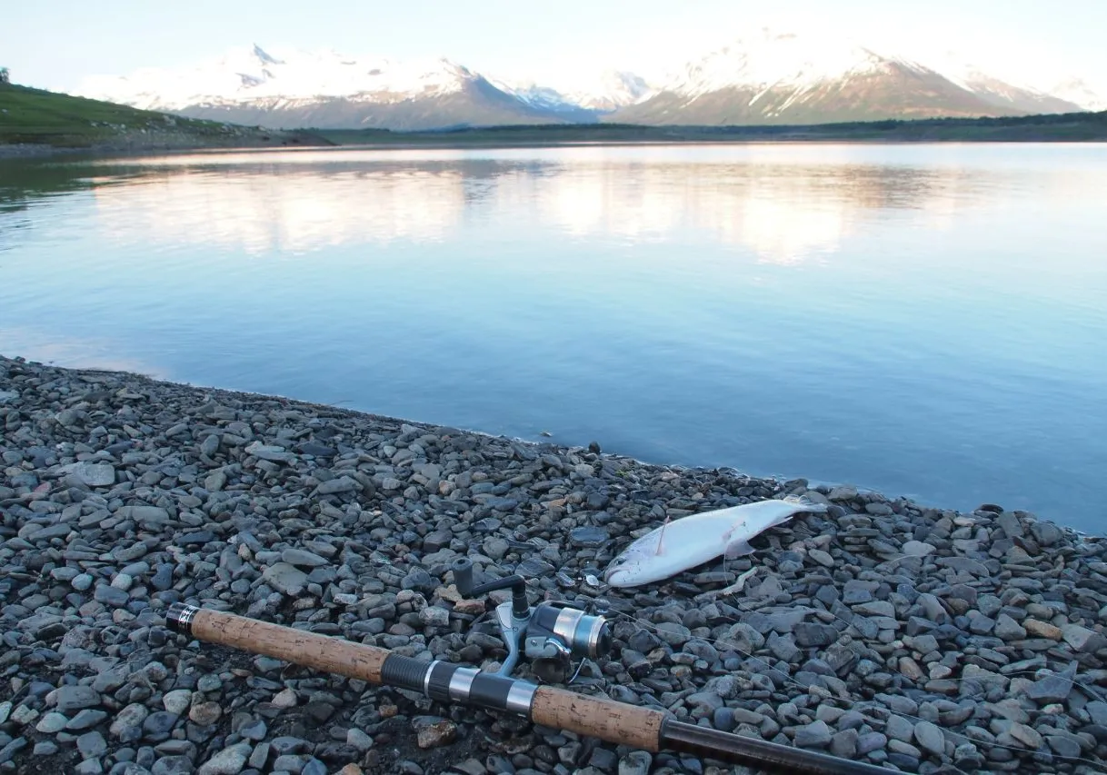Tours al Glaciar El Calafate