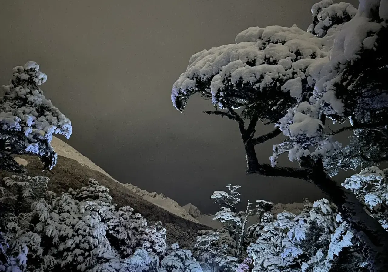 Martial By Night — Ushuaia 2