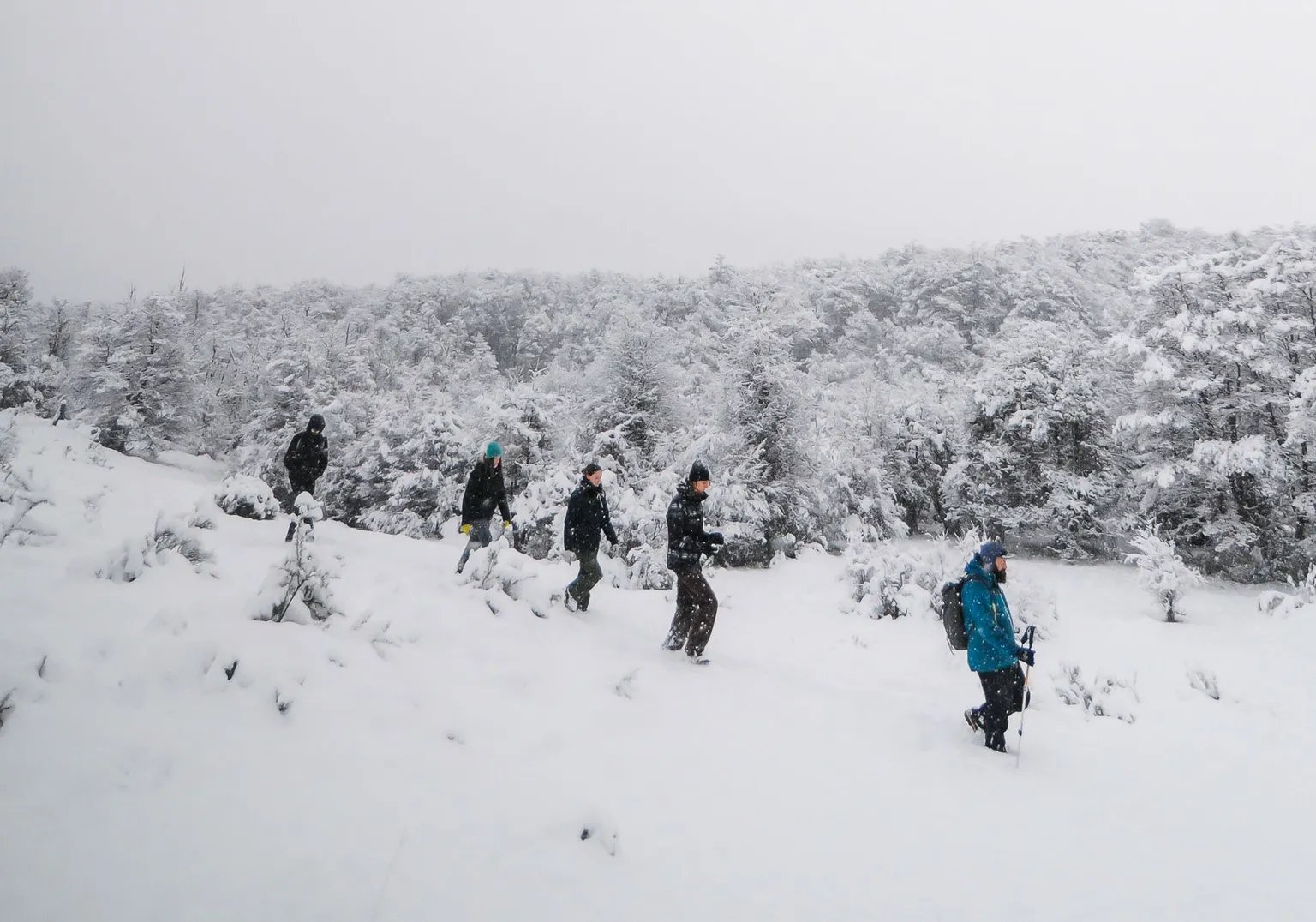 Parque Nacional con Almuerzo · Tour Privado · Invierno — Ushuaia 1