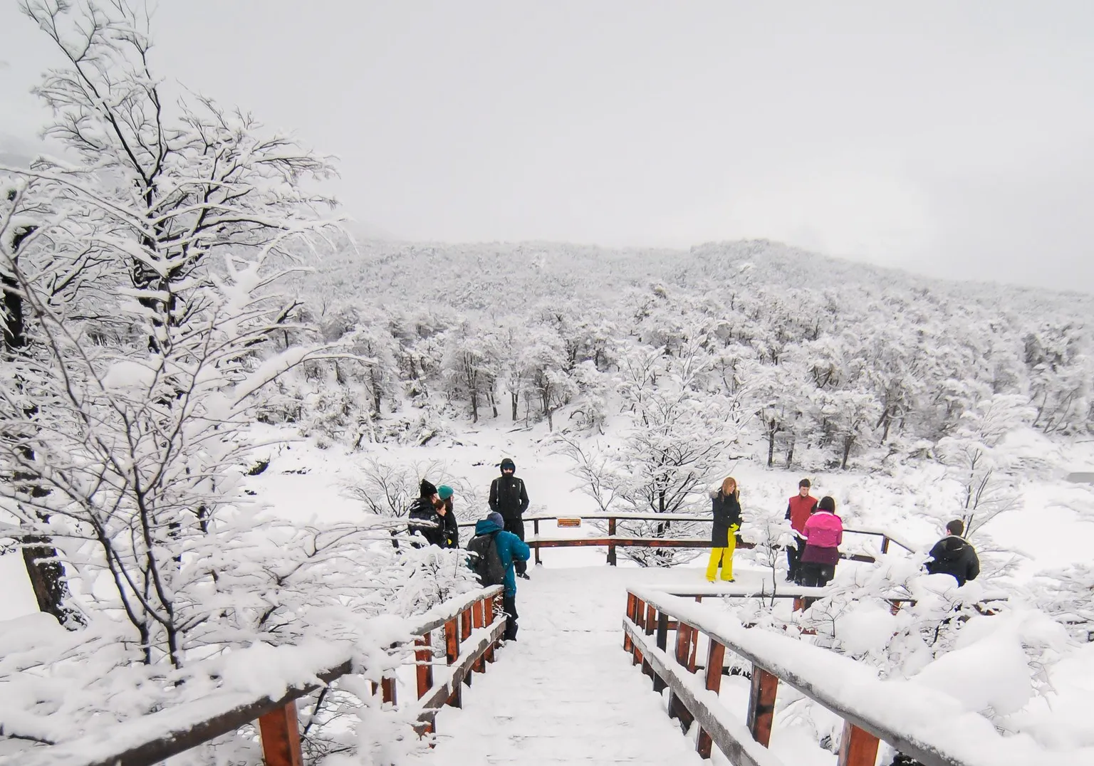 Parque Nacional con Almuerzo · Tour Privado · Invierno — Ushuaia 2