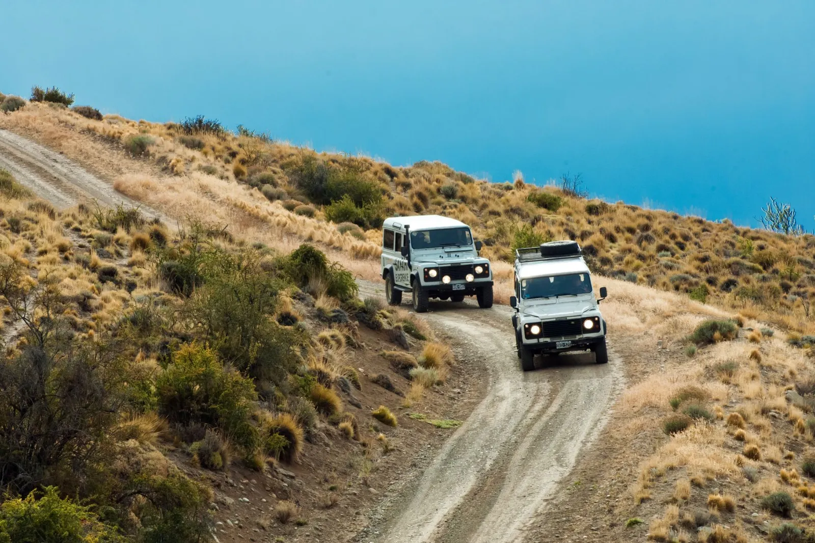 Safari Experience — El Calafate