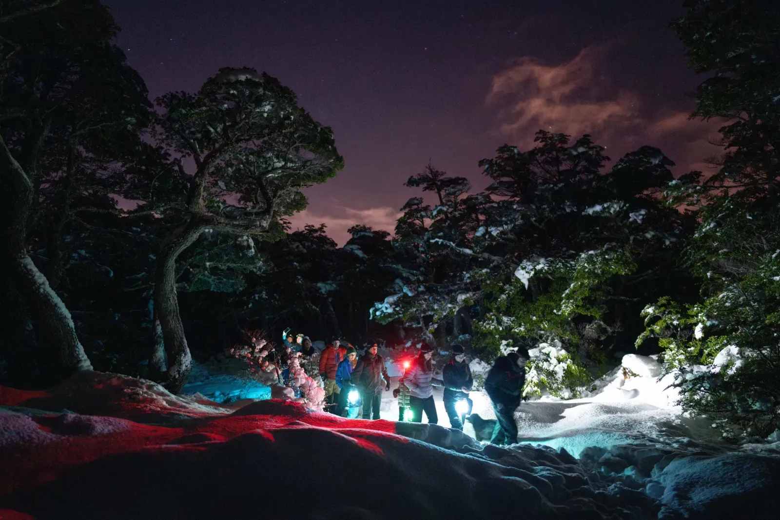 Martial By Night — Ushuaia