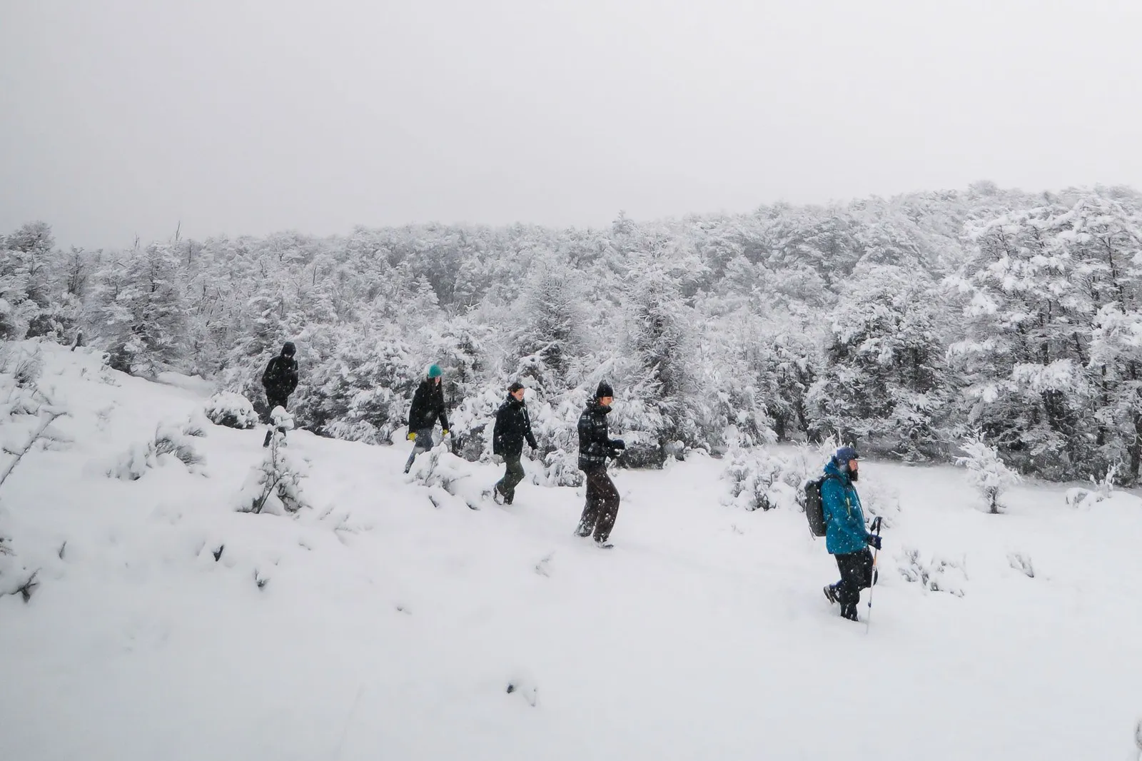 Parque Nacional con Almuerzo · Tour Privado · Invierno — Ushuaia