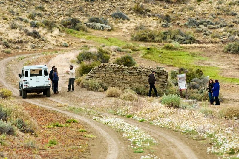 Safari Experience 5