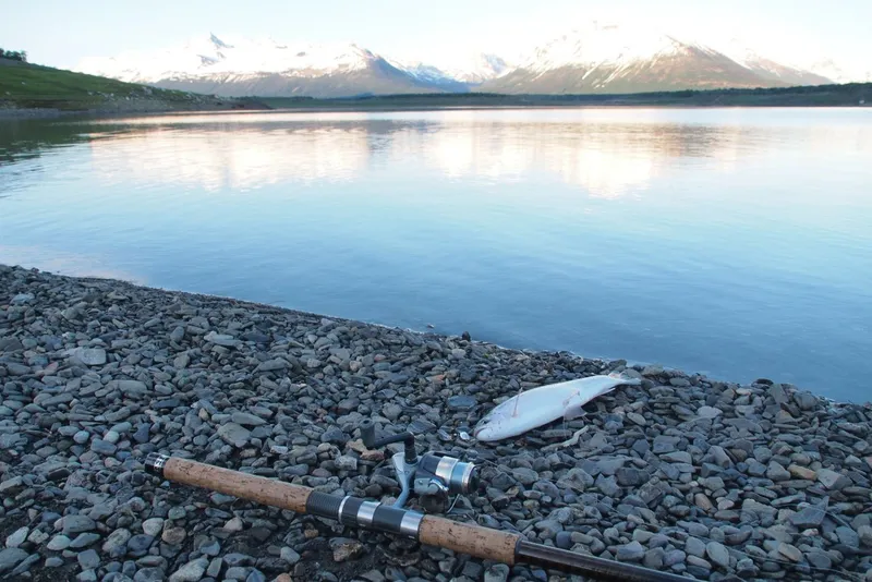 Buscando el Salmon Chinook 2