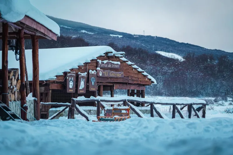 Full Day Nieve 2