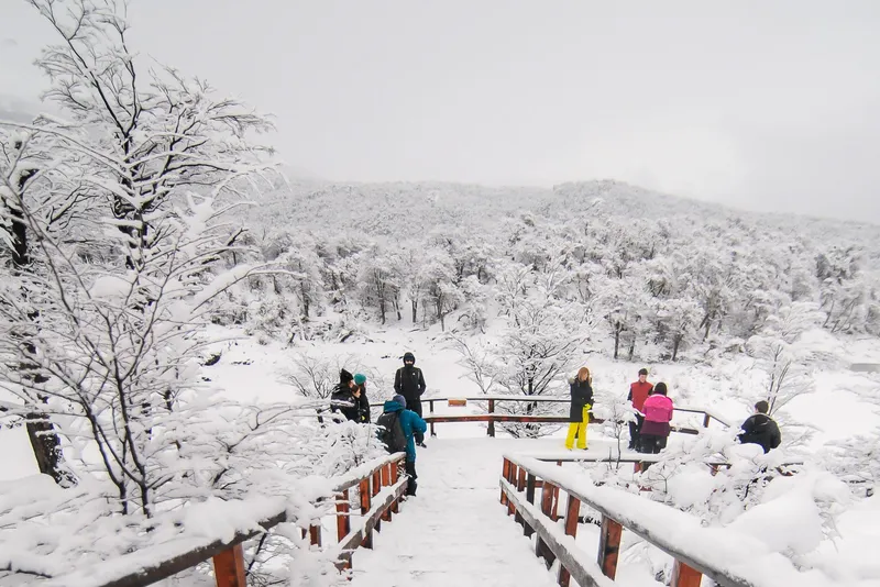 Parque Nacional con Almuerzo · Tour Privado · Invierno — Ushuaia 2