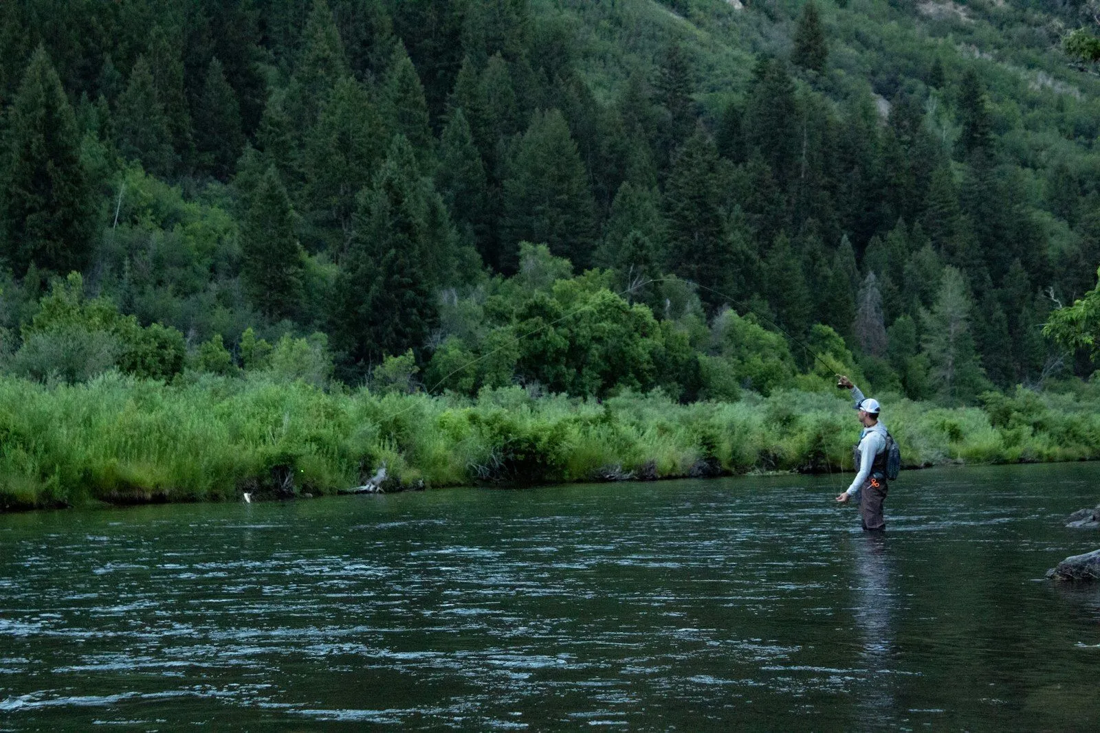 En Busca del Salmón Chinook · 5 días 2